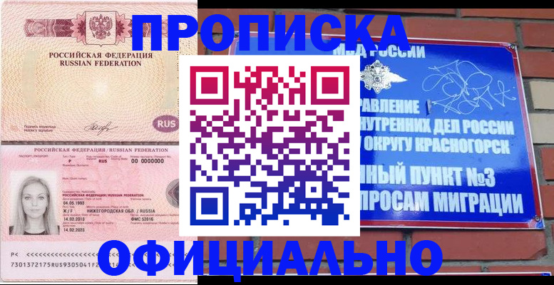 временная регистрация собственник в Щёлково